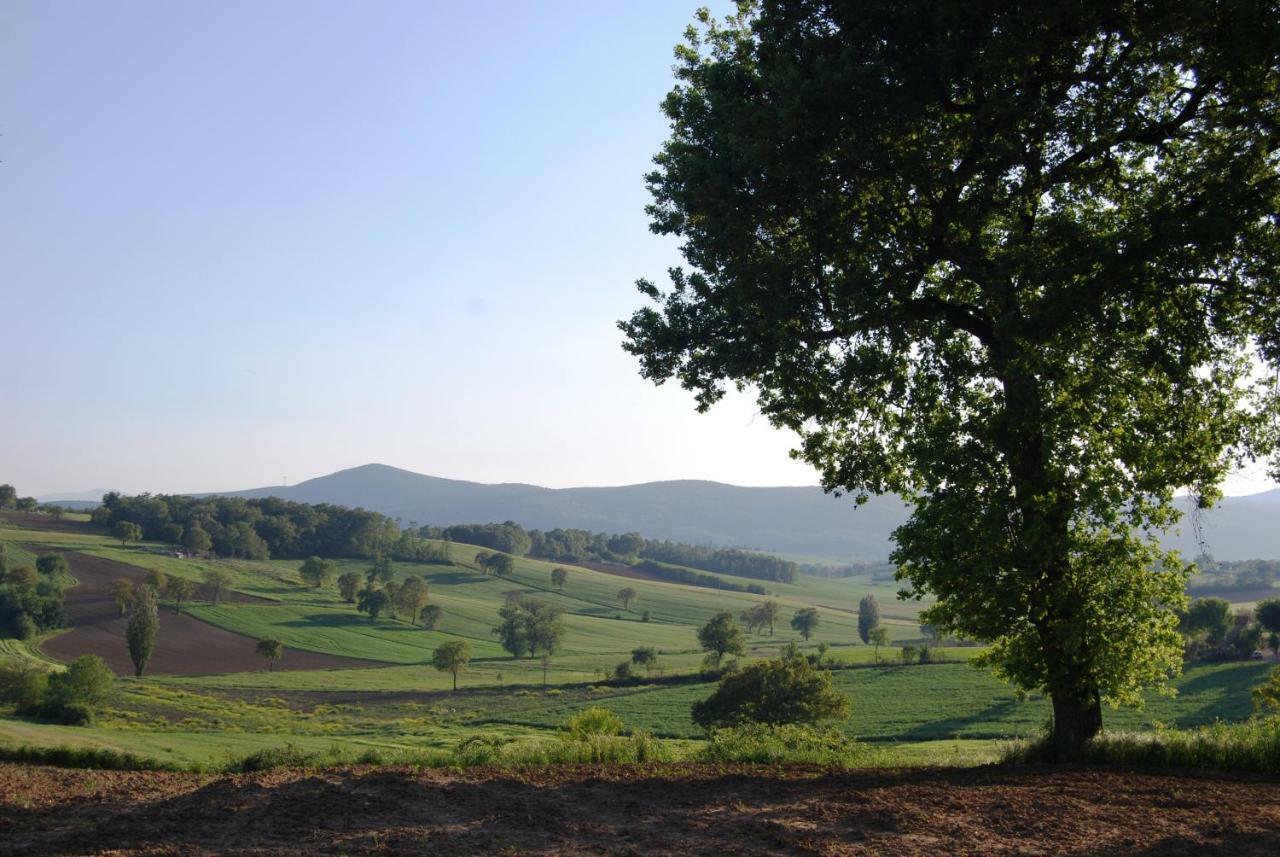 Bilocale Verde Umbria Montecastrilli Экстерьер фото