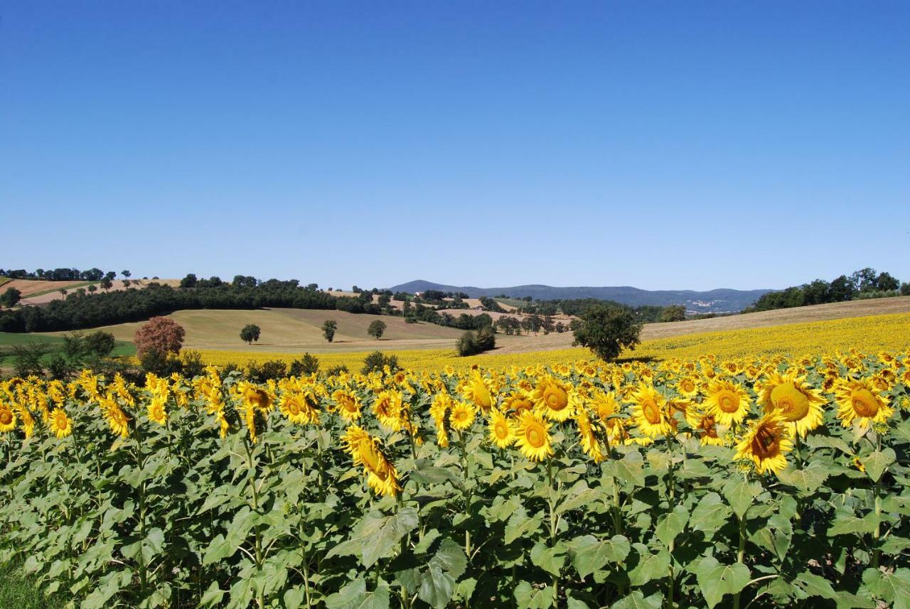 Bilocale Verde Umbria Montecastrilli Экстерьер фото